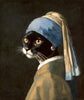 Cat with the Pearl Earring