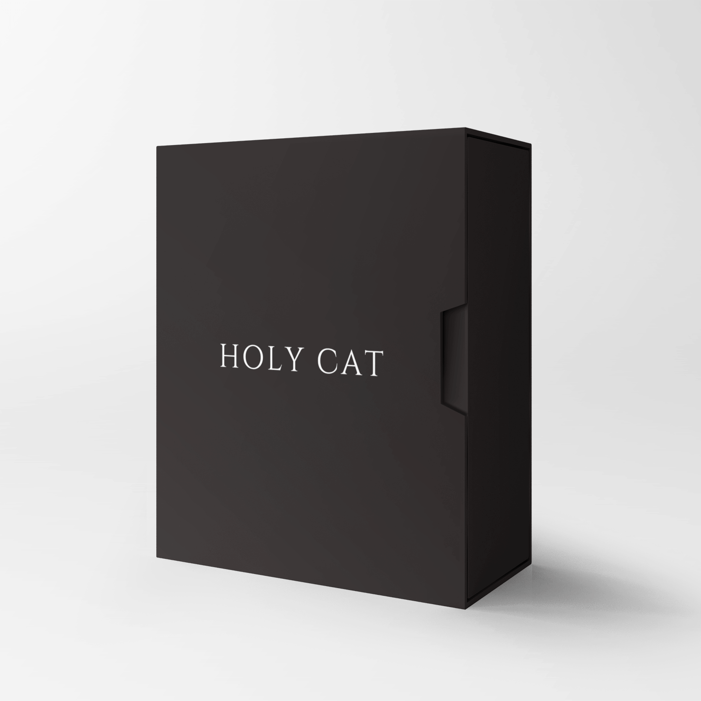 Holy Cat Mystery Box